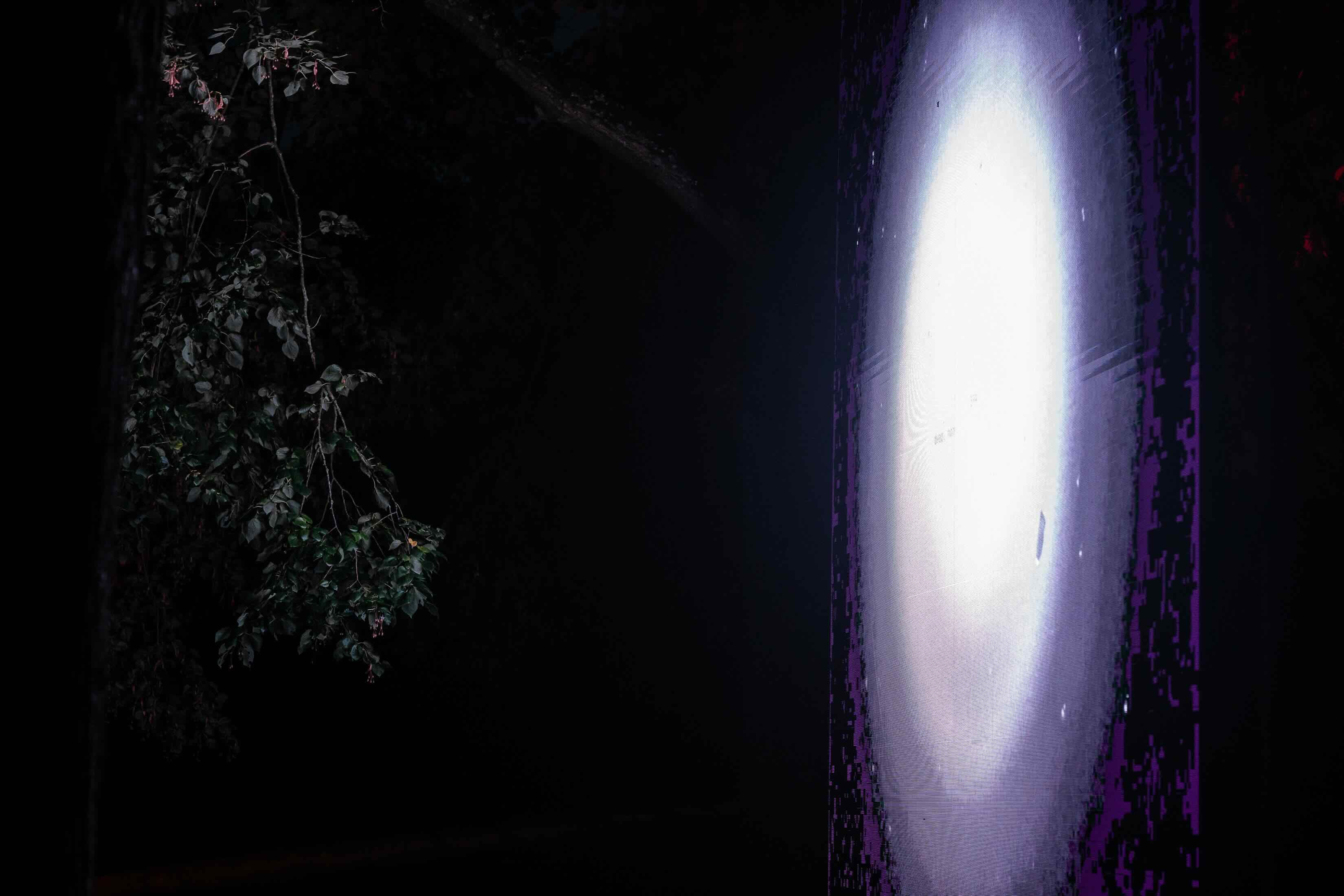 Gloeiend wit en violet ovaal op een LED-scherm naast donker, hangend gebladerte