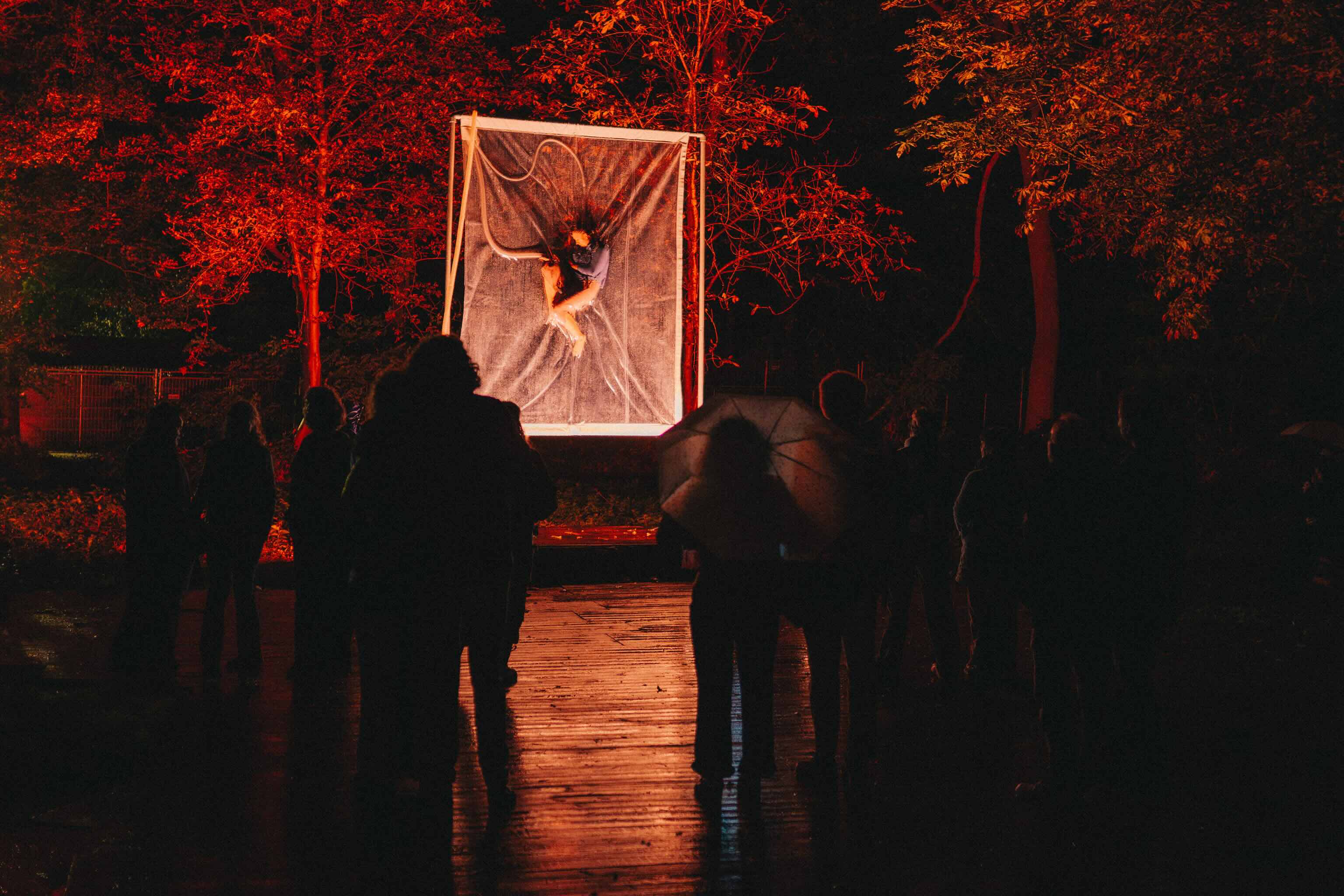 Crowd on a wet boardwalk under red-lit trees watching a performer suspended inside clear plastic in a white frame